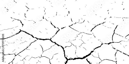 Cracked dry earth texture showing drought and arid landscape pattern. High-contrast black and white cracked soil background perfect for environmental, abstract, or texture design projects.