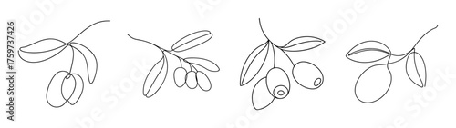 Delicate line drawings of blue honeysuckle fruit clusters showing intricate details and natural form