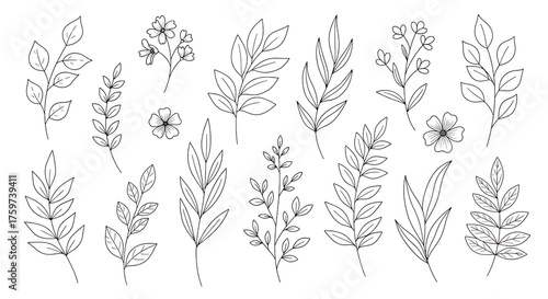 Collection of white line art botanical elements and flowers on black background plant branch