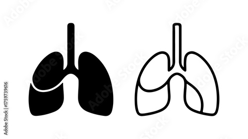 Human lungs outline with transparent background