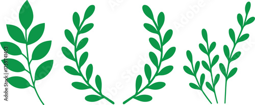Simple green leafy branches on a white background