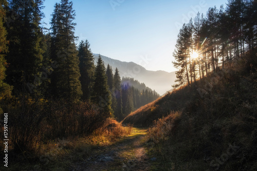 A mountain forest path bathed in morning or evening light. Golden autumn rays of sunlight filter through the trees, illuminating the trail and creating an atmosphere of calm and tranquility.