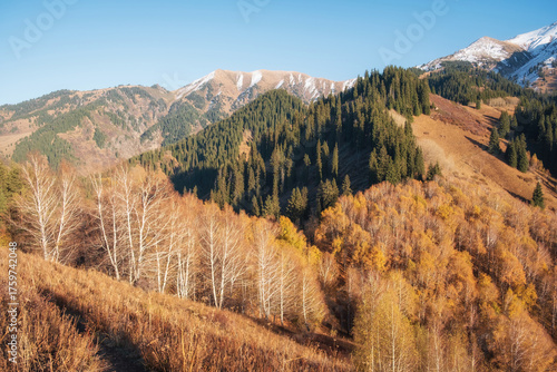 An autumn landscape with yellowed leaves and snow-capped mountain peaks. These views are typical of the Tien Shan Mountains, located near Almaty in Kazakhstan.