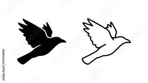 Flying bird silhouette and outline with transparent background