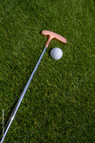 golf mallet on the green, artificial turf