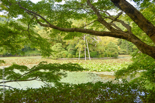 Kyoto, Japan the Ryoan-ji Temple - outside in the park