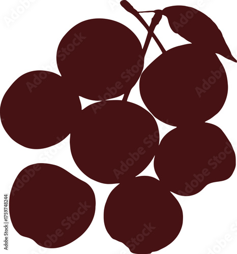 Dark red cherries with green stems and leaf on black background cherry fruit