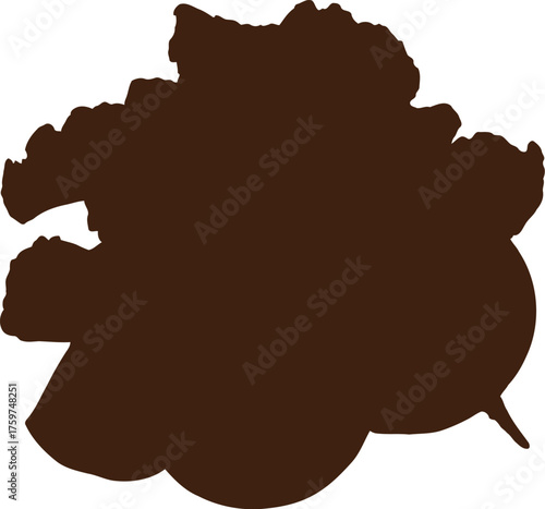 Fresh beet roots with green leaves and sliced beet sections on black beetroot vegetable