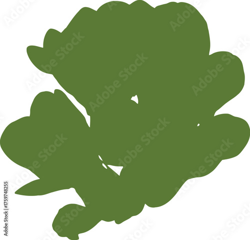 Fresh bok choy leaves and stems isolated on black background greens leafy