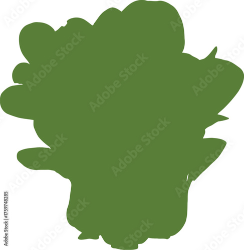 Fresh green bok choy leaves and stems arrangement isolated on black vegetable