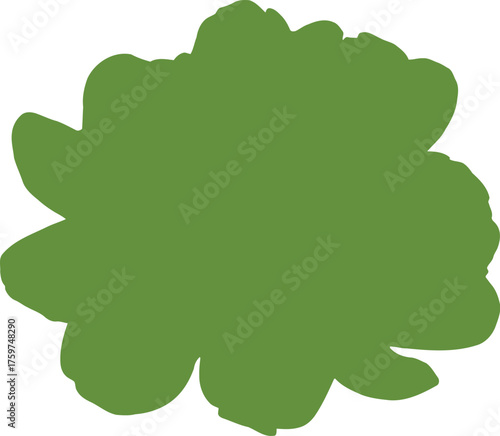 Fresh green bok choy leaves arranged on a black background vegetable