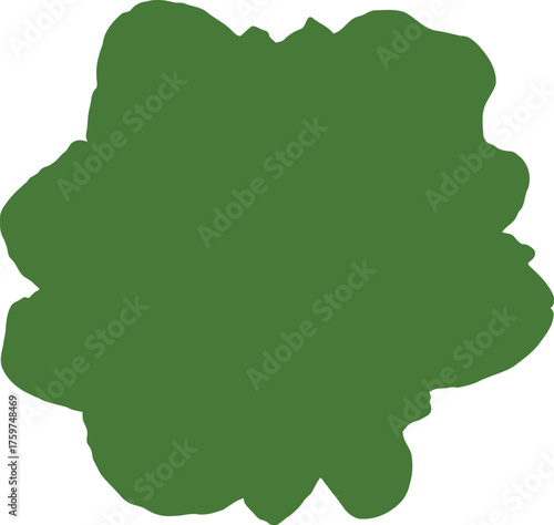 Fresh green butter lettuce head isolated on black background detailed leaves vector