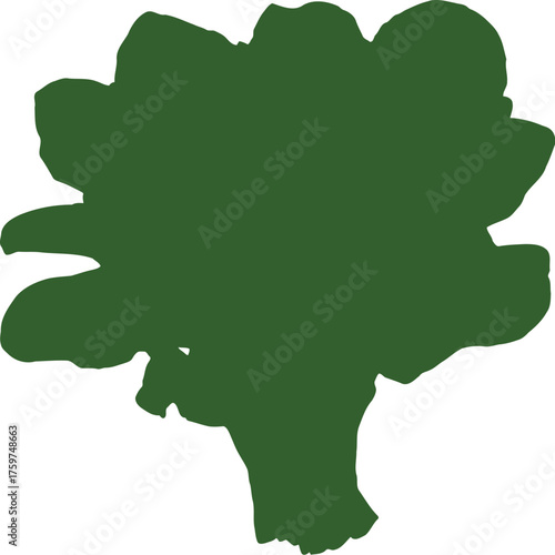 Fresh green gai lan vegetables tied with natural twine on black background leafy