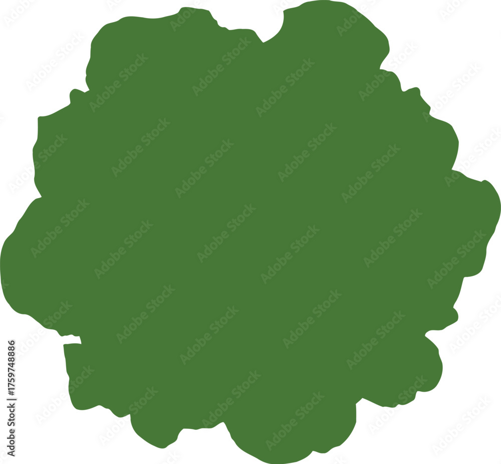 Obraz premium Fresh green lettuce head isolated on black background top view food vegetable