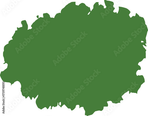 Fresh green lettuce head isolated on white background showing detailed leaf textures leaves