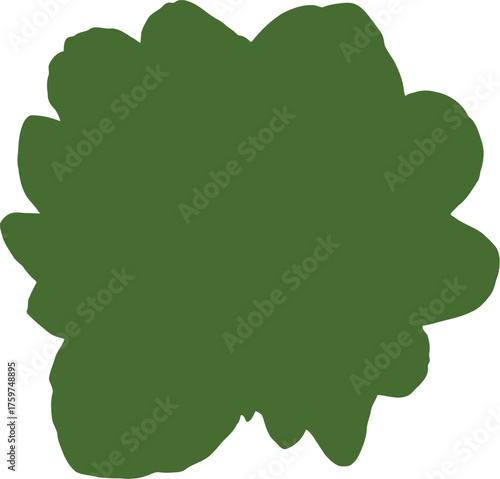 Fresh green lettuce leaves isolated on black background overhead view vector