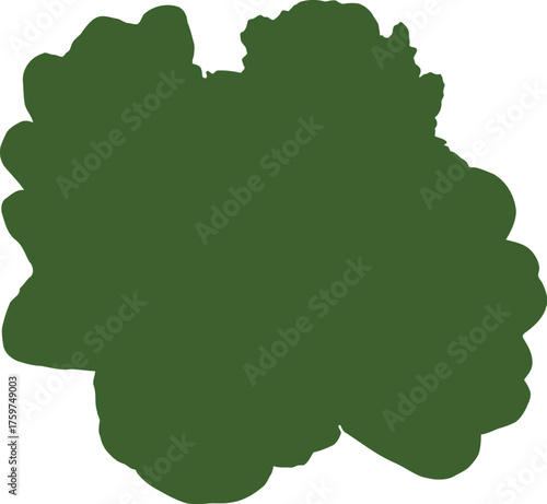 Fresh green lettuce leaves isolated on black background healthy food concept close up studio shot