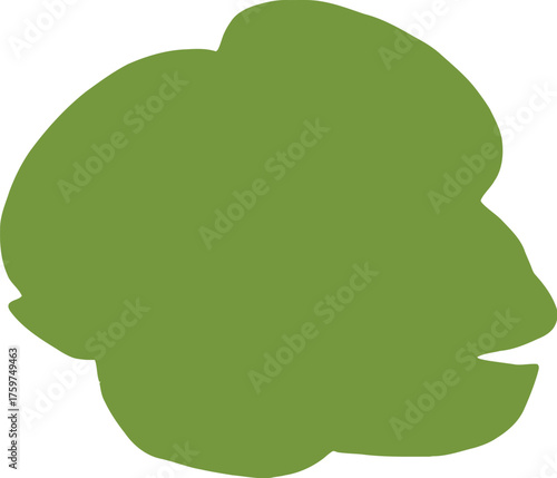 Freshly sliced green limes arranged on a black background showing juicy citrus fruit segments