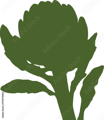 Green artichoke plant silhouette isolated on white background vector