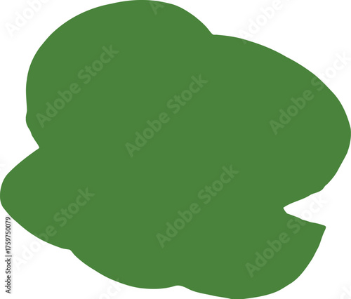 Green lime slices and whole lime fruit isolated on black background citrus