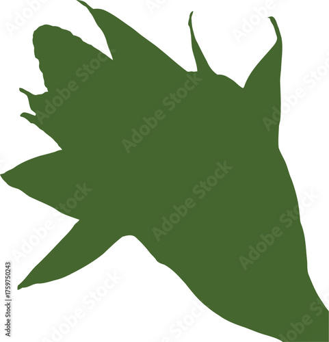 Green silhouette of a partially husked ear of corn with leaves maize