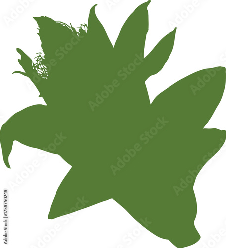Green silhouette of partially husked corn cob with kernels and leaves maize leaf