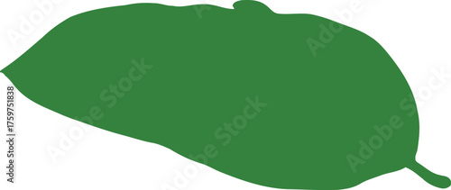 Single Vibrant Green Leaf with Visible Veins Isolated on White Background vector