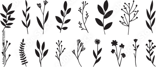 Decorative Black and White Botanical Set Leaves, Twigs, Flowers, and Floral Elements