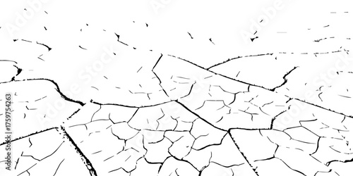 Cracked dry earth texture showing drought and arid landscape pattern. High-contrast black and white cracked soil background perfect for environmental, abstract, or texture design projects.