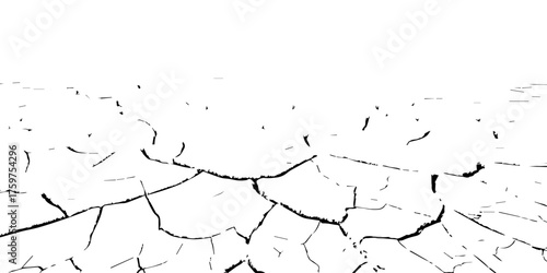 Cracked dry earth texture showing drought and arid landscape pattern. High-contrast black and white cracked soil background perfect for environmental, abstract, or texture design projects.