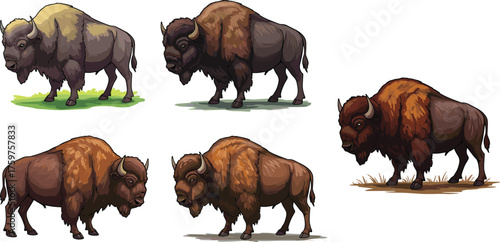 Cartoon American bison illustration set, wild buffalo animal art, brown prairie mammal drawings, strong wildlife character design for nature and education.