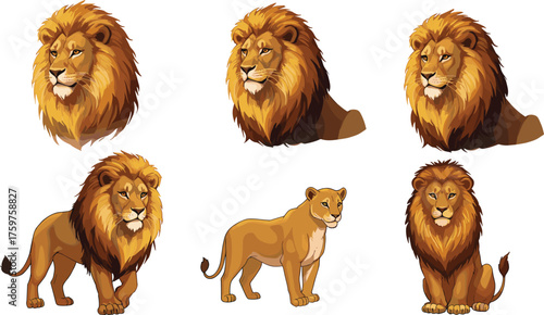 Canvas Print Lion and lioness cartoon illustration set, majestic wild cats, African wildlife art, powerful animal design, safari character drawing, nature artwork