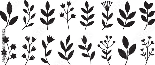 Set of Black Silhouette Floral and Leaf Elements for Design Projects