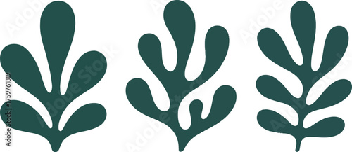 Three Stylized Dark Teal Leaf Motifs Isolated on White Background Design