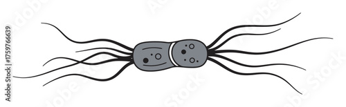 Minimalist Abstract Bacterial Flagellum Vector - Microbial Motion Appendage