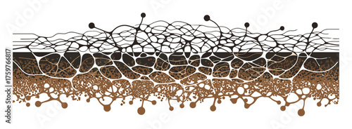 Minimalist Abstract Mycelium Fungal Network Vector Art - Underground Mushroom Roots