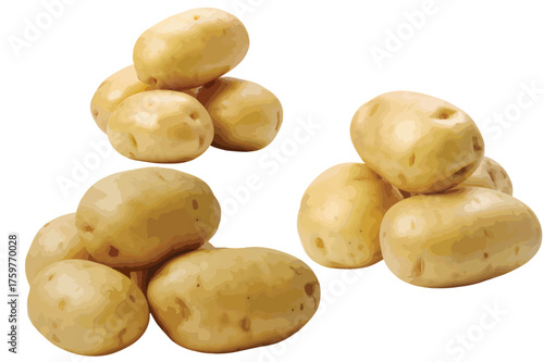 Fresh raw potatoes scattered naturally fresh organic tubers healthy root vegetable ingredient ready for cooking