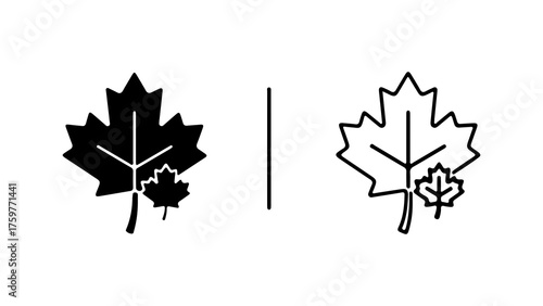 Maple leaves outline and solid with transparent background
