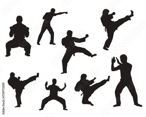 Martial Arts Silhouettes Set including Kick, Punch, Block, and Stance Poses