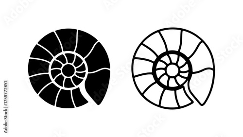 Nautilus shells with transparent background