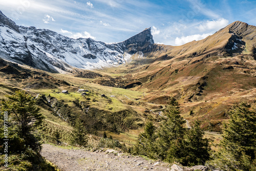 Hochmoor ob Meiringen, Roselauital, Berner Oberland, Schweiz