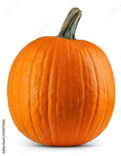 Pumpkin. Orange pumpkin. Large pumpkin good for carving a Jack o Lantern on Halloween. Farm harvest. Autumn, fall October. Pumpkin for Oktoberfest. Happy Thanksgiving day. High resolution photo