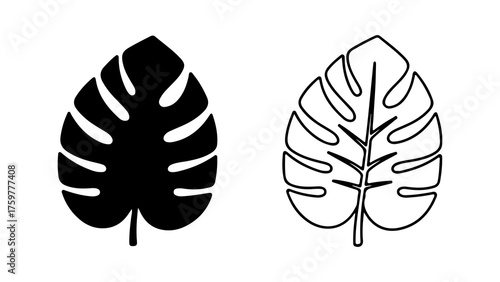 Monstera leaf outline with transparent background