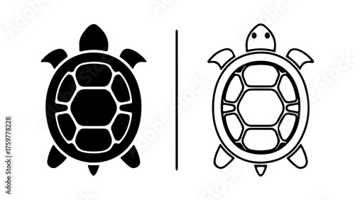 Turtle top view with transparent background