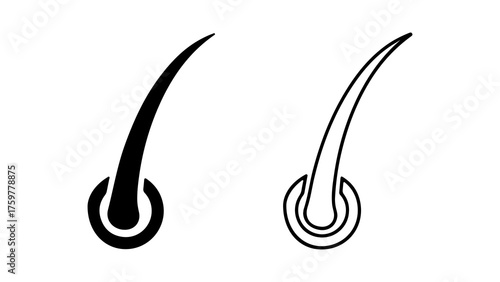 Hair follicle closeup with transparent background