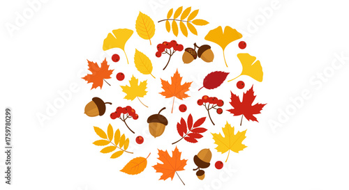 A circular arrangement of colorful autumn leaves acorns and rowan berries.