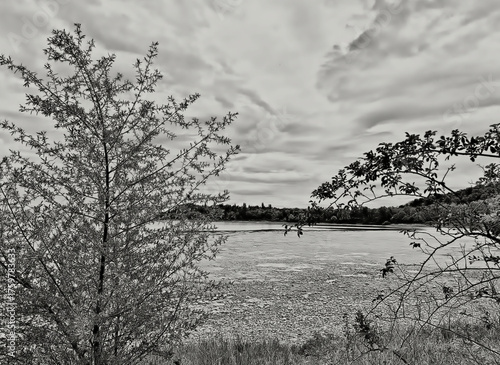 melancholic and silent view of the lake shore on a cloudy day