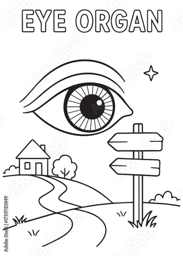 coloring book eye organ looking at road sign