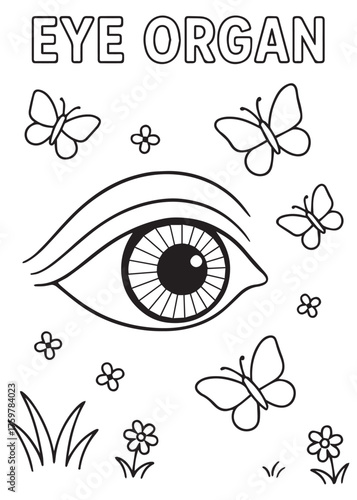 coloring book eye organ with butterflies flying around