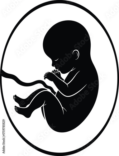 Human Fetus Silhouette Inside Womb – Prenatal Development, Pregnancy Stage, Embryo Growth, Medical Vector, Life Beginning, Black Illustration